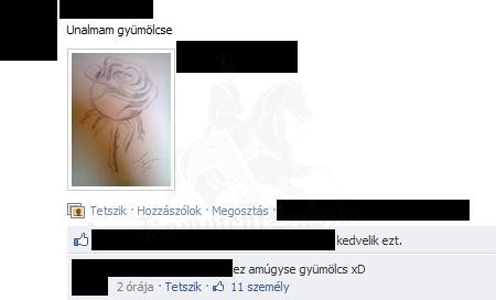 Gyümölcs
 
