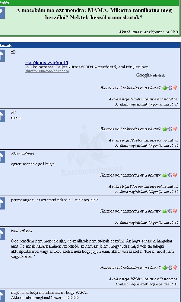 A macskám ma azt mondta...
 
