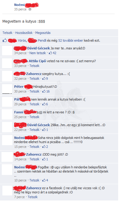 Kutyavásárlás fail
 
