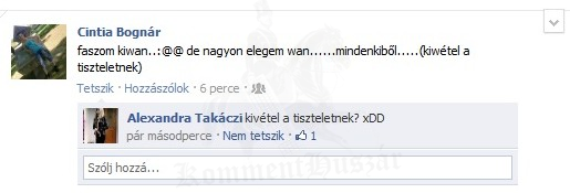 kivétel a tiszteletnek 
 
