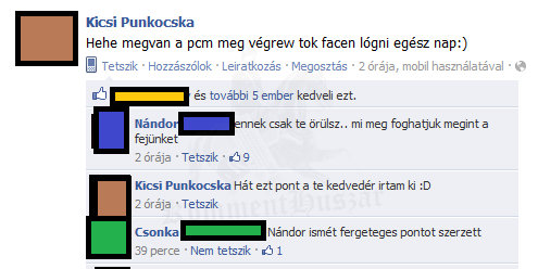 Kicsi Punkocska
 
