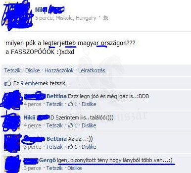 Legelterjedtebb pók
 
