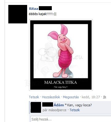 Malacka fiú, vagy lány?
 
