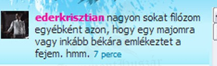 Éder Krisztián vallomása
 
